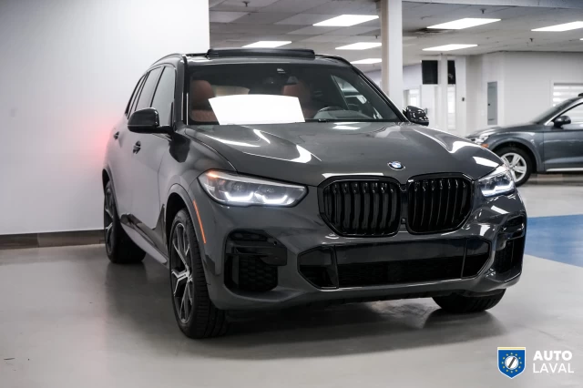 BMW X5 xDrive40i - INDIVIDUAL - SKY LOUNGE - DRAVIT GREY 2022